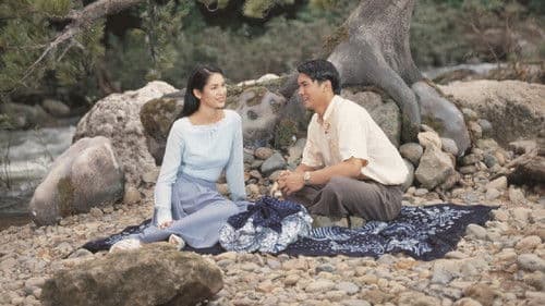 ข้างหลังภาพ Bild 2