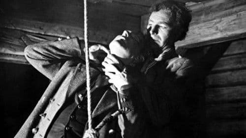 Die Alm an der Grenze Bild 2