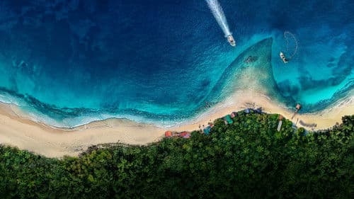 Great White Serial Killer: Sea of Blood Bild 2