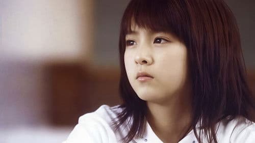 Tanz der Glühwürmchen Bild 2