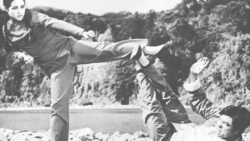 Der Todesarm des Kung Fu Bild 1