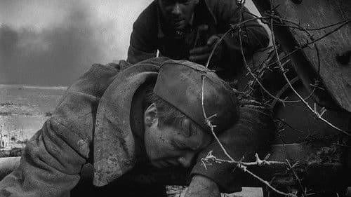 Wenn die Kraniche ziehen Bild 5