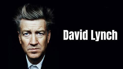 Die rätselhafte Welt des David Lynch Bild 3