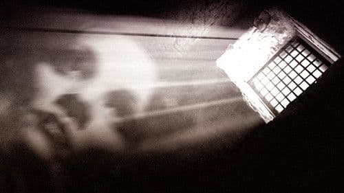 Kuß der Spinnenfrau Bild 5