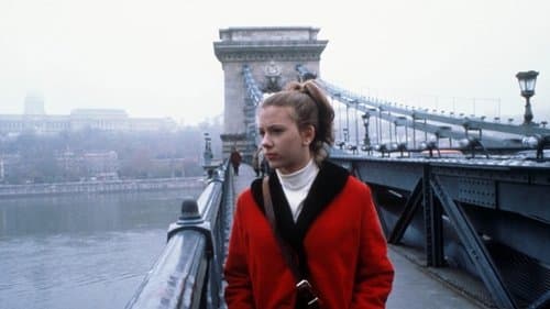 Ein amerikanischer Traum Bild 1