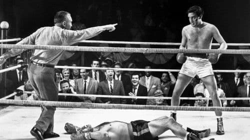 Harte Fäuste, heiße Liebe Bild 2