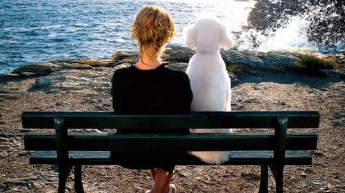 Endlich Witwe Bild 1