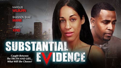 Substantial Evidence Bild 1