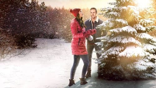 The Christmas Promise Bild 1