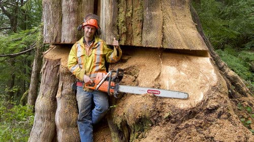 The Last Woodsmen Bild 3