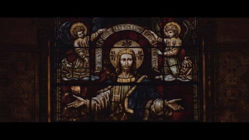 The Five Fingers of a Dog Bild 5