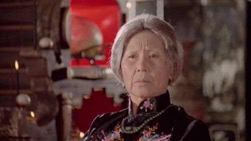 American Rikscha Bild 5