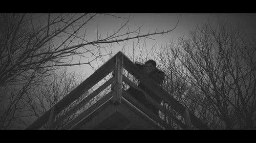 Echoes Of Ivory Bild 6