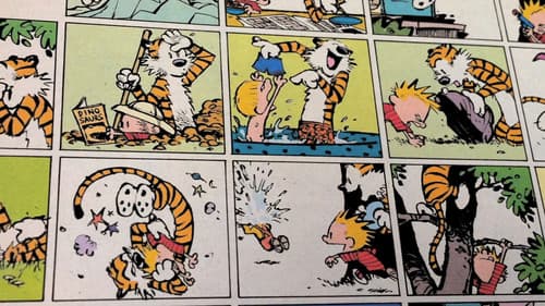 Dear Mr. Watterson Bild 1