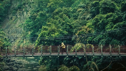 La réparation Bild 8