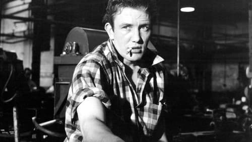 Samstagnacht bis Sonntagmorgen Bild 2