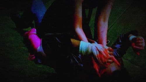 Trapped In Sight Bild 6