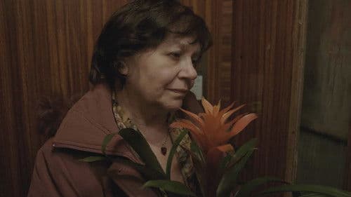 Letzter Aufruf Bild 6