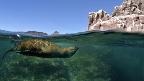 Golf von Kalifornien Bild 2