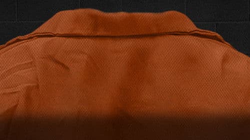 Mein (fast) perfektes Verbrechen Bild 4