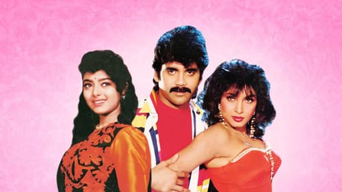 హలో బ్రదర్ Bild 1