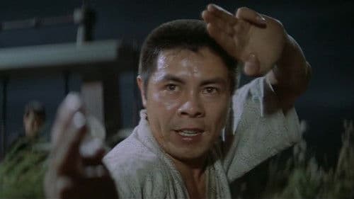 任侠柔一代 Bild 2