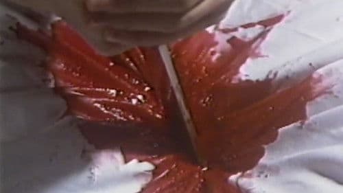 熱くなるまで待てない　沢木夕子 Bild 1