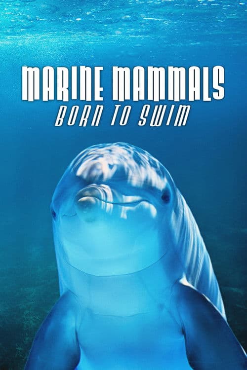 Marine Mammals - Born to Swim