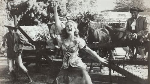 Piraten von Tortuga Bild 2