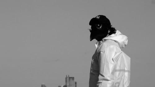 Most Flew South Bild 1