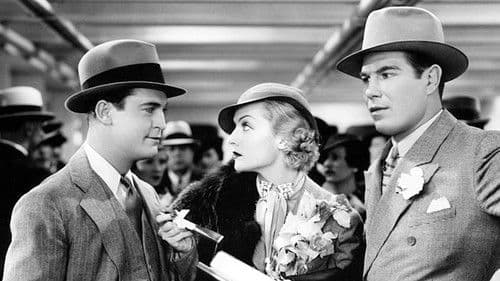 The Gay Bride Bild 4