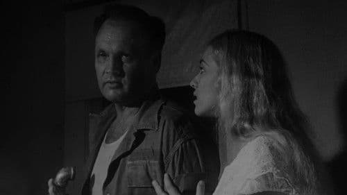 The Nest of the Cuckoo Birds Bild 3