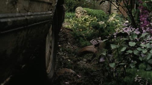 Nada de todo esto Bild 4