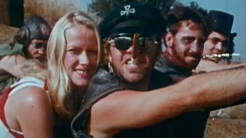 Vicious Cycles Bild 1