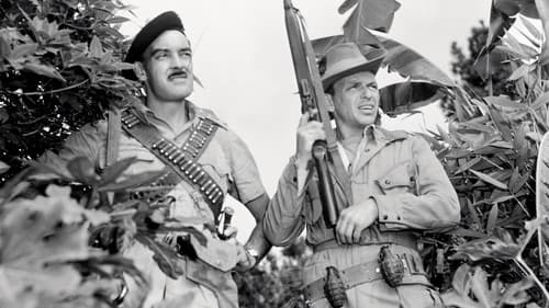 Wenn das Blut kocht Bild 2