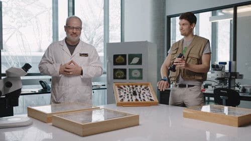 Ça grouille à l'orchestre : Génial! Bild 3