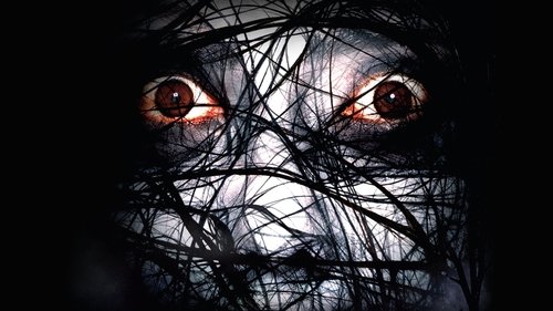 Der Fluch - The Grudge 2 Bild 2