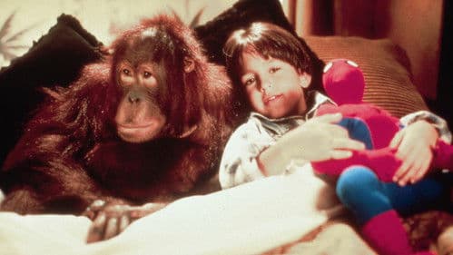 Dunston - Allein im Hotel Bild 4