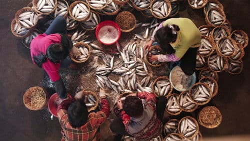 Die Wurzeln des Geschmacks Bild 3