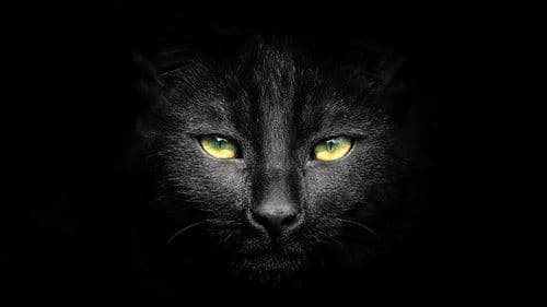 Sabrina und die Zauberhexen Bild 2