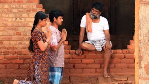 முந்திரிக்காடு Bild 7