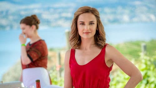 Summer in the Vineyard Bild 4