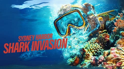 Sydney Harbor Shark Invasion Bild 1