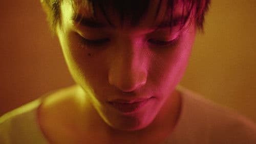 Metamorphosis Bild 2