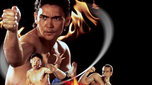 Bloodfist Fighter 4 Bild 3