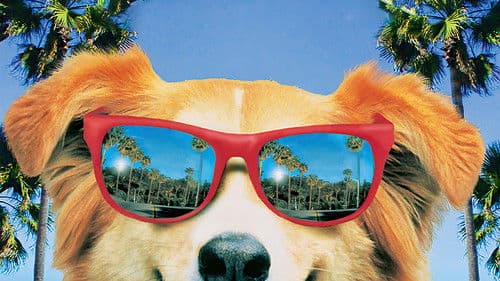 Bingo - Kuck mal wer da bellt Bild 5