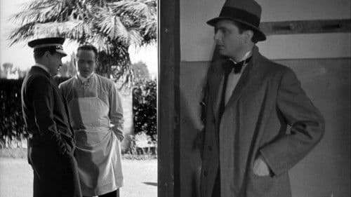 Come le foglie Bild 3