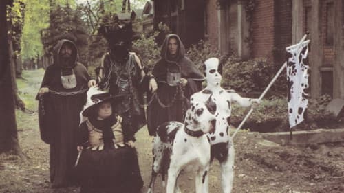 Freak Orlando Bild 5