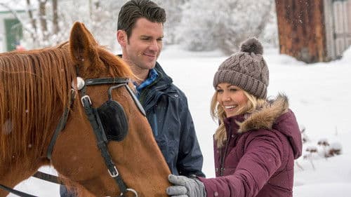 Winter Castle - Romanze im Eishotel Bild 3