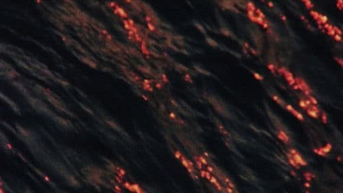 L'Eau de la Seine Bild 1